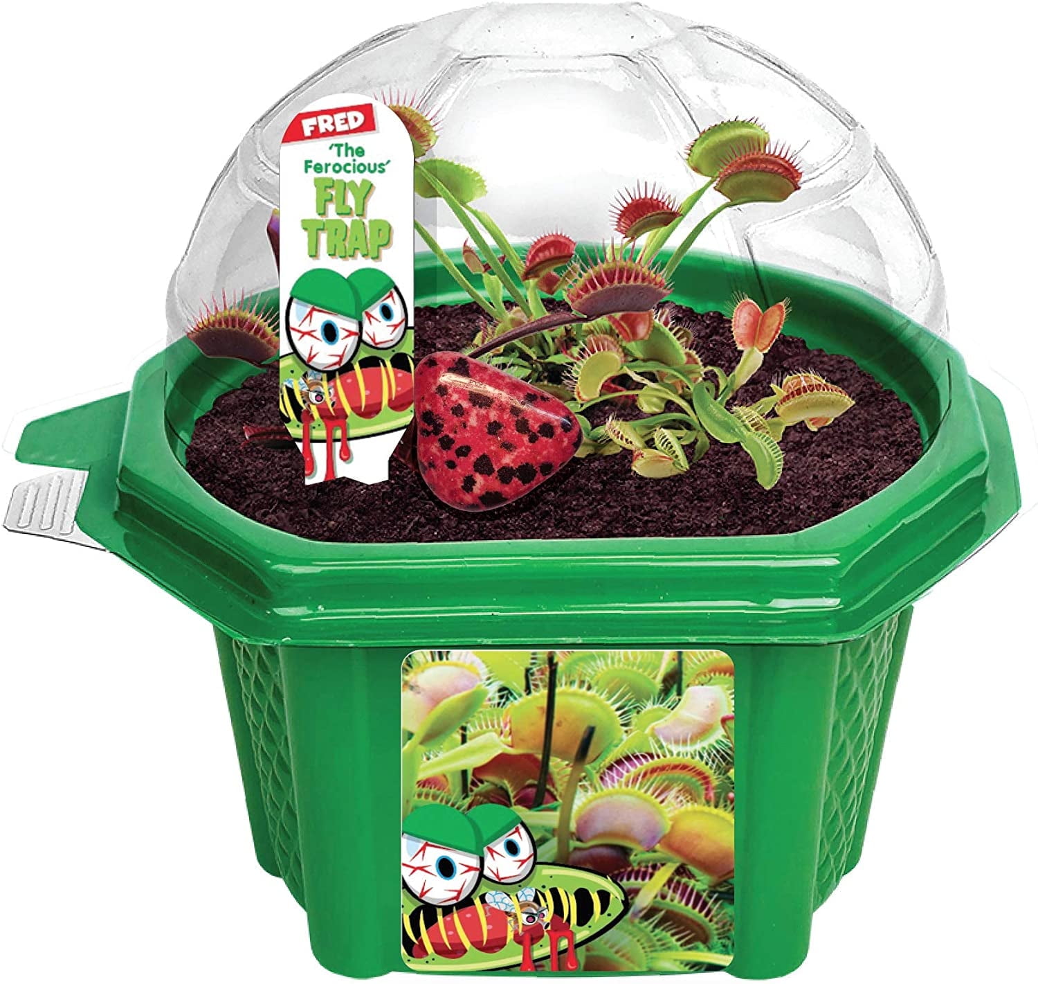 TOYS BY NATURE Grow Your Own Frightening Venus Flytraps - Kids