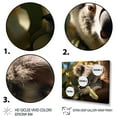 thumbnail image 3 of Designart "Koala Haven Australia painting II" Animals Metal Wall Decor Set, 3 of 5