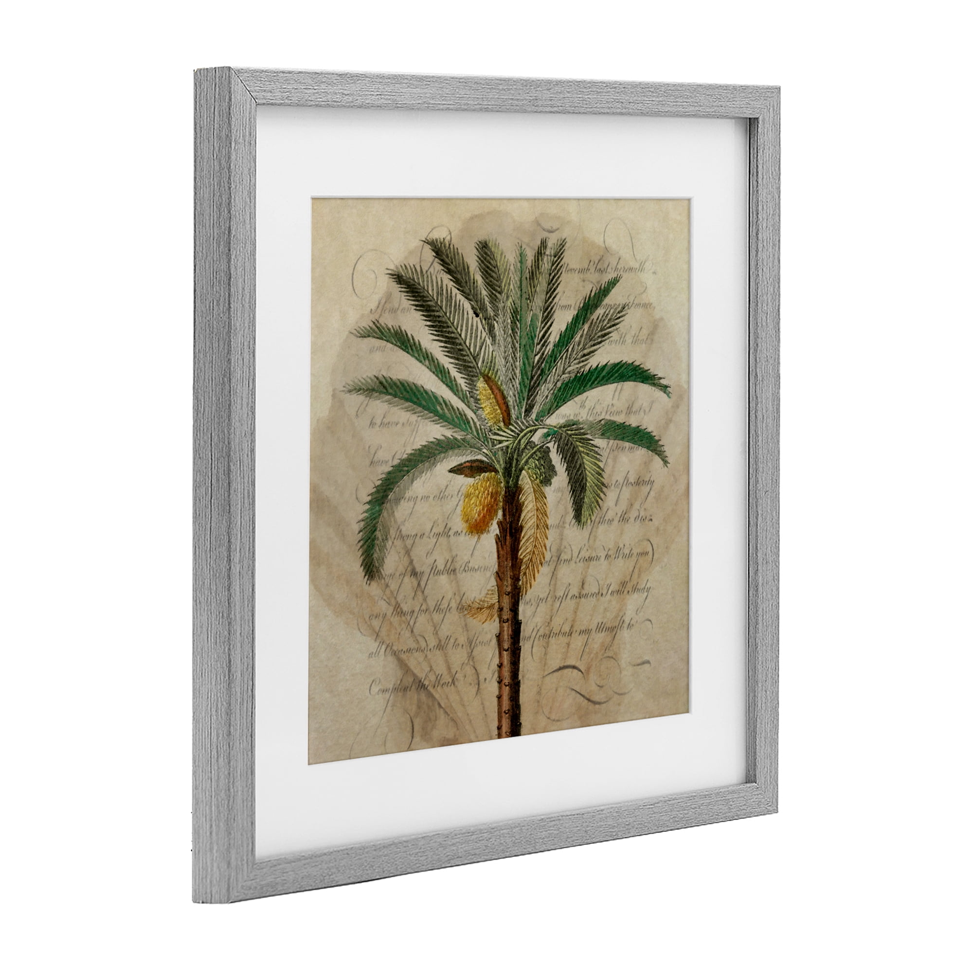 Stupell Industries Vintage Subdued Palm Gray Framed Print Under Glass, design by Steve Hunziker