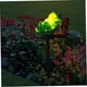 thumbnail image 5 of Cartoonstyle outdoor frog light, decorative garden solar lamp, solar light for the garden, frog solar light, frog lamp made of plastic., 5 of 5