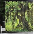 thumbnail image 4 of Ambesonne Tree Shower Curtain, Moss Jungle Wildlife, 69"Wx70"L, Green Brown, 4 of 5