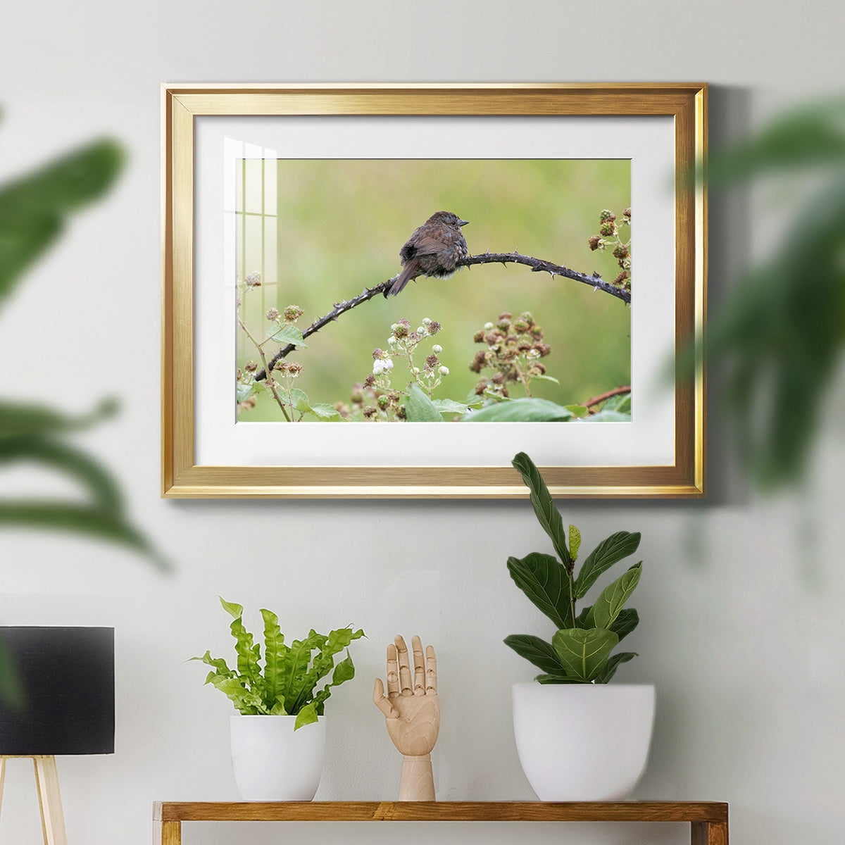 Resting Sparrow Premium Framed Print - Ready to Hang