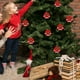 thumbnail image 5 of Pack de 6 adornos para árbol de Navidad no tejidos | Renos, Papá Noel, muñecos de nieve, diseños de cajas de regalo | Rojo Plata Sandía Rojo | Tela suave y duradera | Decoraciones ligeras, 5 of 6