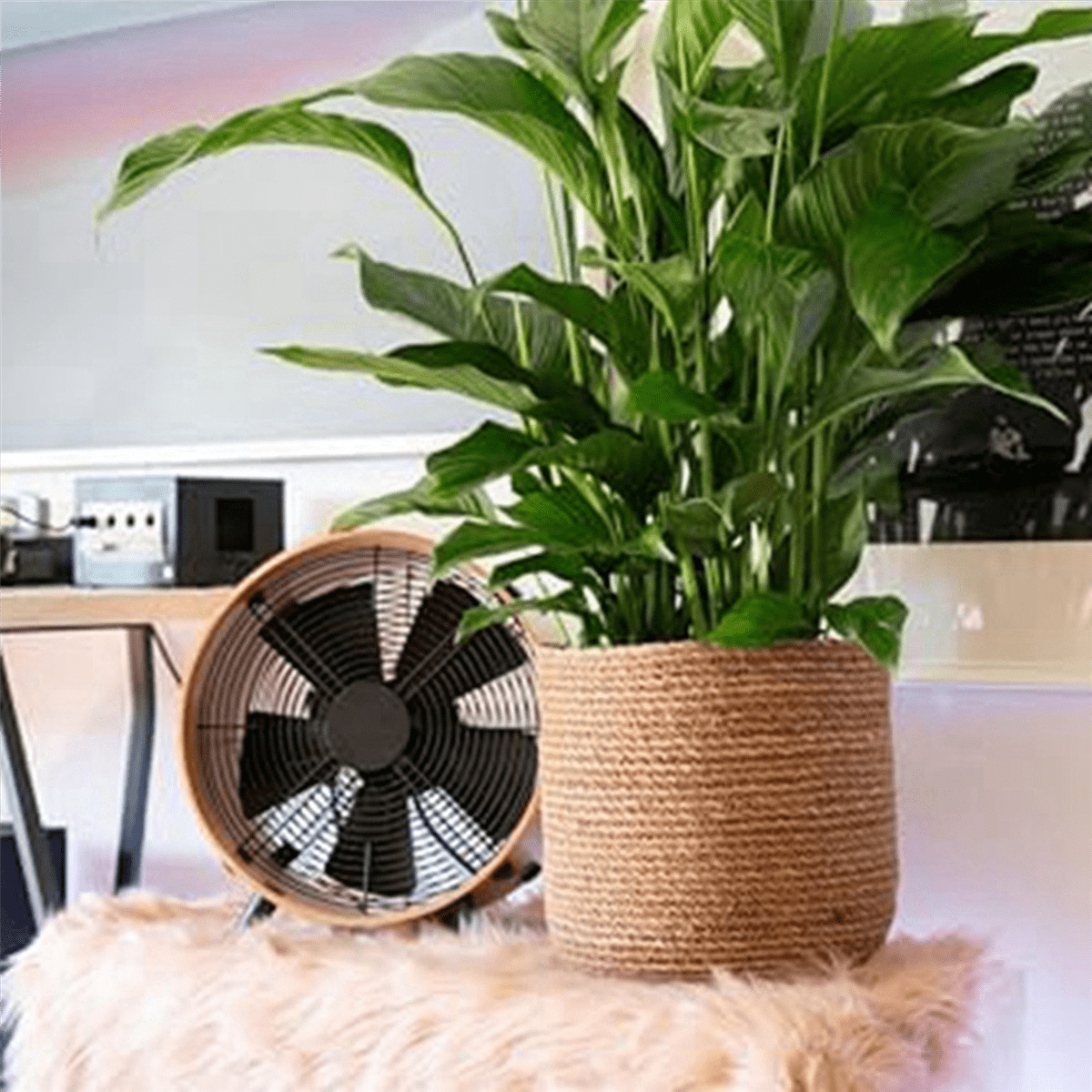 2X Seagrass Flower Pot - Woven Plant Decorative Basket with Plastic Film Insert in Boho Style S