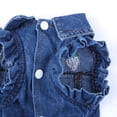 thumbnail image 6 of Adorable Ivory Denim Pet Dog Jacket - Stylish Blue Strawberry Coat Dress for Spring/Autumn - Cute Puppy Apparel, 6 of 7