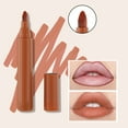 Dark Brown Lip Liner Stain