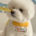 thumbnail image 3 of Sombrero de cumpleaños para mascotas Yuarrent Púrpura 6 pulgadas, 3 of 6