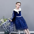thumbnail image 4 of Girls Fancy Princess Costume Deluxe Dress Up Cosplay Party Dresses, 4 of 5