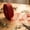 Red, variant on 2M Glitter Mesh Wired Ribbon Roll, Sheer Crinkle Net Decorative Ribbon for Christmas Tree Wreath Gift Wrapping Home Holiday Decoration