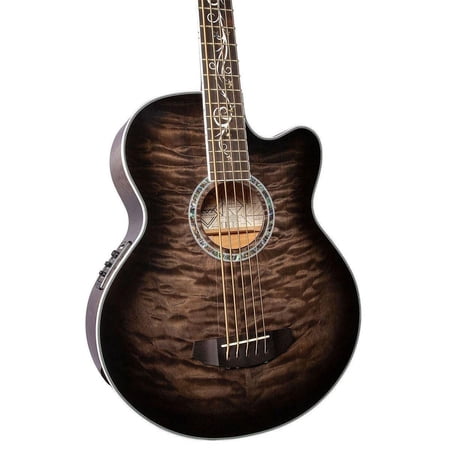 Michael Kelly Dragonfly 5 Acoustic Electric 5 String Bass