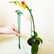 thumbnail image 5 of 10 Uds soporte de estilo Floral soporte de flores antialojamiento suministros de jardinería (17cm) JShteea Libre de BPA, 5 of 9