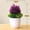 Purple Pink, variant on moolBeko Potted Artificial Reunion Rose Set with Flower Pot 7.5in Artificial Silk Plant Centerpiece for Tabletop Home Office Decor Lifelike Plastic Greenery Arrangement for Indoor