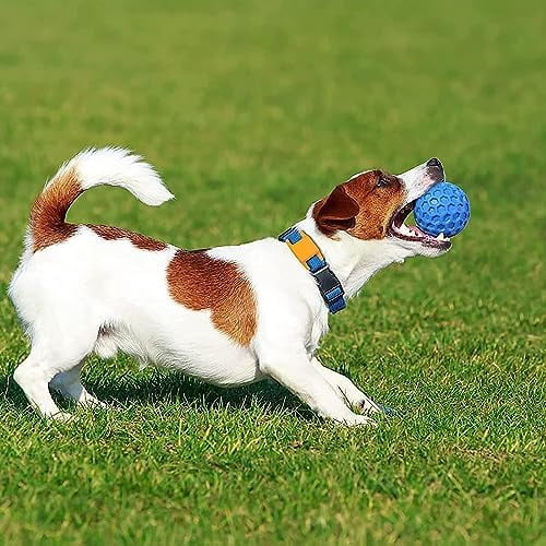 Squeaky Dog Balls, 2 Pack Indestructible Dog Toys for Aggressive Chewers Large/Medium Breed, Natural Rubber Interactive Chew Toys for Teeth Clean, Relieves Anxiety（Blue + Orange）