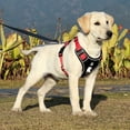 thumbnail image 3 of YMTQ Dog Harness,  no pull Dog Harness, Adjustable Reflective Dog Harness with Handle for Small to Large Dogs, 3 of 9