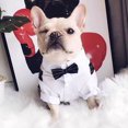 thumbnail image 7 of Happy Date Dog Shirt Pet Tuxedo Clothes, Suit Bow Tie Costumes, Dogs Formal Apparel Outfit with Blue Tie, Puppy Prince Wedding Bow Tie Gentleman Jacket for Small Medium Dogs Cats, Cosplay, 7 of 7