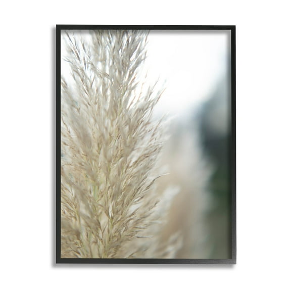 Stupell Industries Natural Pampas Grass Photography Scene Photograph Black Framed Art Print Wall Art, Design by Jason Johnson