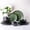Dreamy Moonlight-Green-Service for 4-12pcs, variant on Ceramic Dinnerware Set Dreamy Moonlight-Blue Service for 8-24pcs