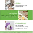 thumbnail image 3 of Handcraft Blends Peppermint Essential Oil - 100% Pure and Natural - Premium Grade Essential Oil for Diffuser and Aromatherapy - 0.33 Fl Oz, 3 of 5