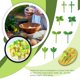 thumbnail image 5 of Paquete de 8 Tenedores de frutas Advancent plástico reutilizable, 5 of 6