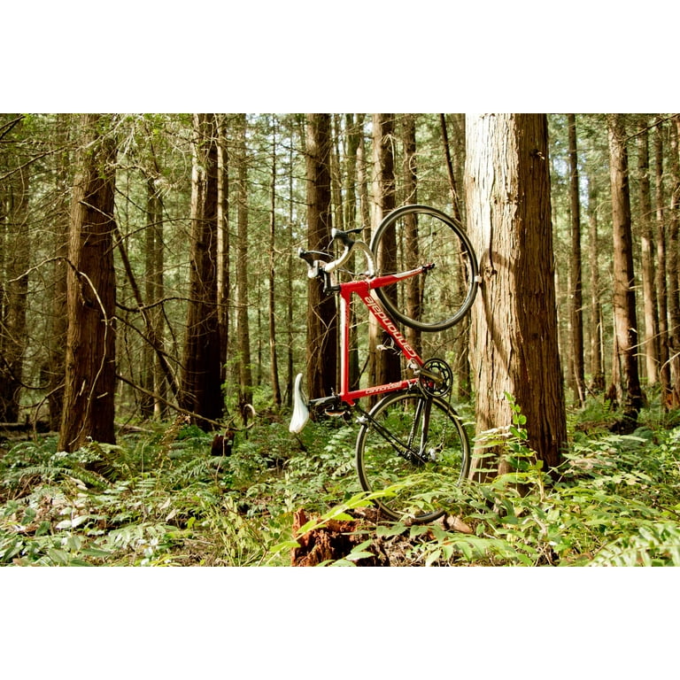 CLUG Roadie Bike Clip Walmart