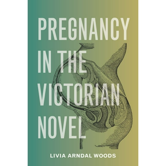 Pregnancy in the Victorian Novel, (Hardcover)