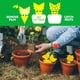 thumbnail image 5 of Adhesivos amarillos Combate plantas de interior Tableros amarillos Trampa amarilla Trampa para moscas Trampa adhesiva Atrapamoscas Trampa para mosquitos para plantas en maceta Contra pulgón, trips, mo Namotu LKX-1720, 5 of 7