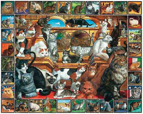 World of cats puzzle Clearance