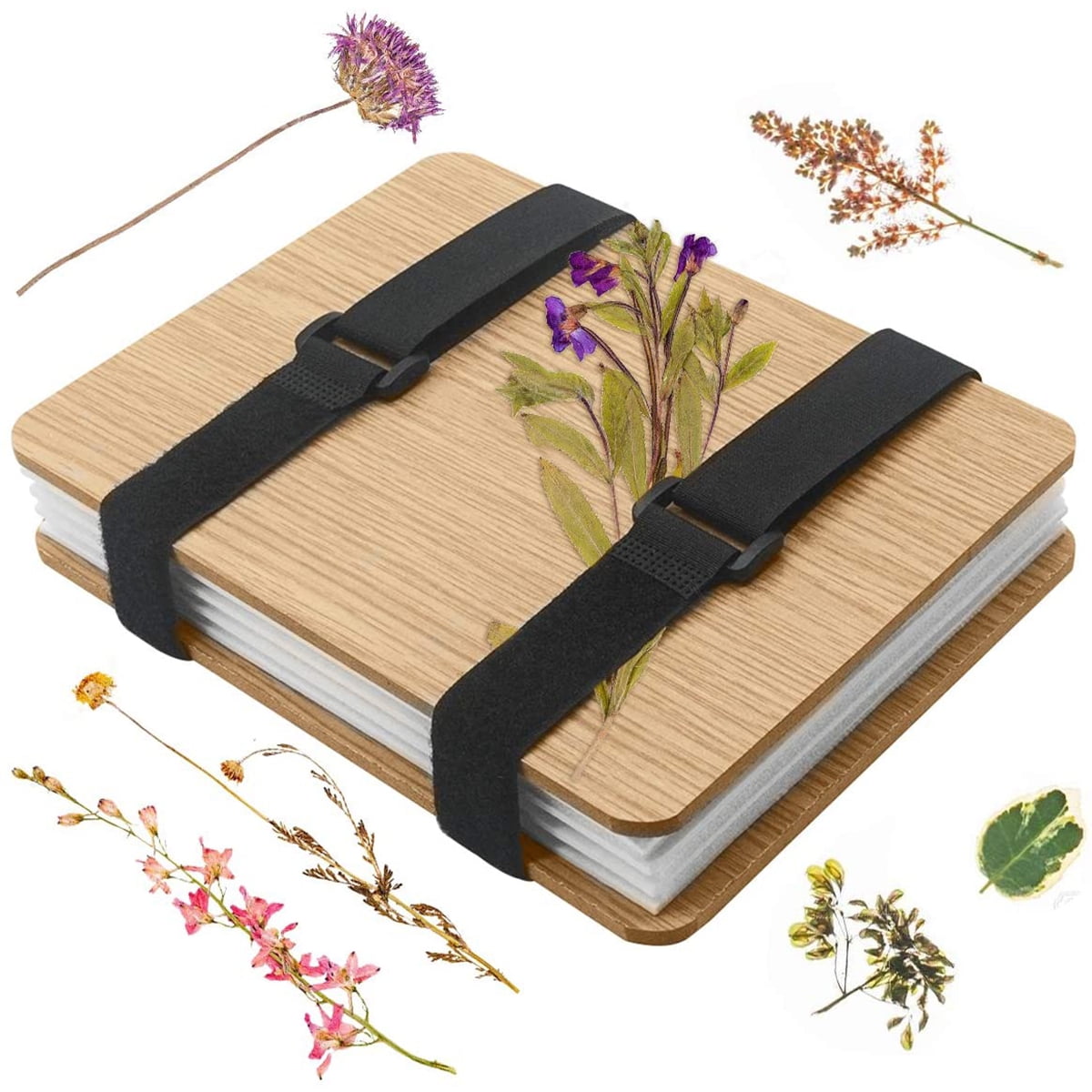 Doingart Professional Flower Press Kit, Leaf Press, Plant Press 6x8in 4 Layers Nature Press with Tool Kit