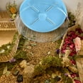 thumbnail image 2 of Paradis d'Exercice pour Animaux, Roue en Plastique Transparent, Roulements Métalliques Doubles Jouet de Course pour Hamster, Opération Ultra-Silencieuse Favorise la Correction de la Posture, Décoration d'Habitat avec Support Réglable (26cm), 2 of 5