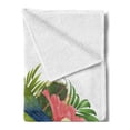 thumbnail image 2 of Tropical Soft Flannel Fleece Throw Blanket, Exotic Agapornis Parrot on Branch with Hibiscus Flowers and Leaves Illustration, Cozy Plush for Indoor and Outdoor Use, 50" x 70", Multicolor, by Ambesonne, 2 of 5