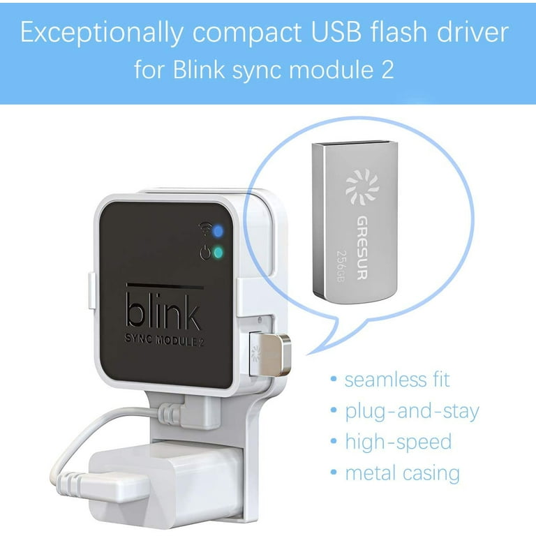 256GB USB Flash Drive for Local Video Storage with The Blink Sync Module 2  Mount (Blink Add-On Sync Module 2 is NOT Included) 256 GB + 1 Pack 