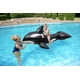 thumbnail image 4 of Flotador inflable para piscina Bestway H2OGO! Jinete de ballenas gigantes, 4 of 7