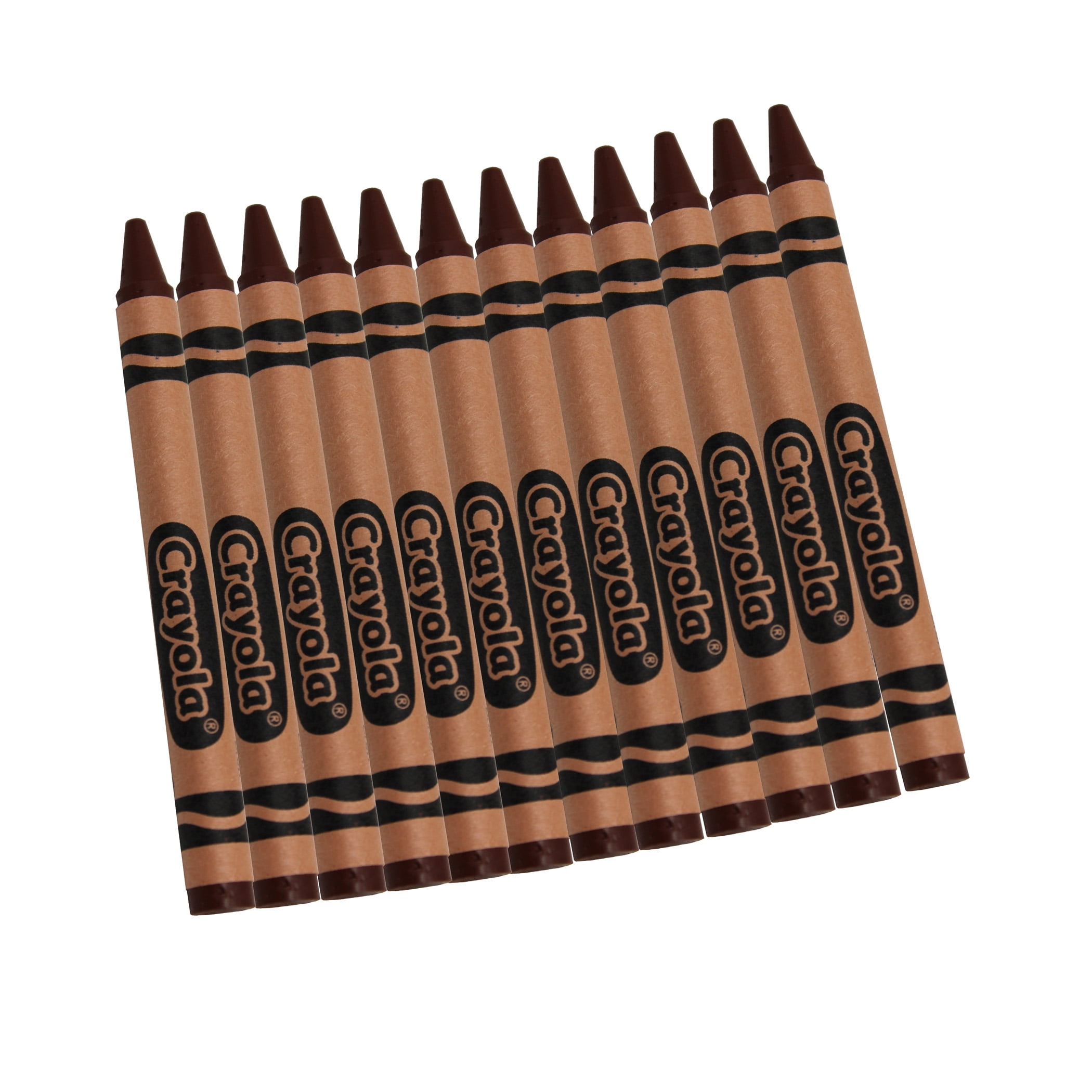 Crayola Bulk Crayons, Brown, Regular Size, 12 per box, Set of 12 boxes