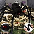 thumbnail image 2 of 200" Halloween Spider Web + 59" Giant Spider Decorations Fake Spiders with Triangular Huge Spiders Web for Indoor Outdoor Halloween Decorations Yard Home Costumes Parties Haunted House Décor, 2 of 7