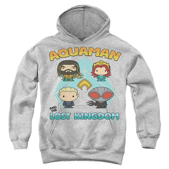 Aquaman and the Lost Kingdom Character Lineup Youth Kids Boy/Girls Pull-Over Hoodie