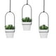 thumbnail image 4 of Macetero colgante Cateissary para ventana jardín interior negro, 4 of 6