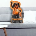 thumbnail image 3 of Bleacher Creatures Tennessee Volunteers Smokey 24" Mascot Sideline Pal, 3 of 4