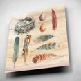 thumbnail image 4 of Epic Art 'Spiced Nature X' by Lisa Audit, Acrylic Glass Wall Art, 12"x12", 4 of 8