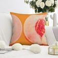thumbnail image 3 of Peaches Summer Orange Throw Pillow Covers 18x18 Set 1 Sweet Farmhouse Boho Modern Decor Cute 3D Print Peach Fruit Pink Pillows Accents Outdoor Sofa Couch Cases Cushion Home Decorations, 3 of 5
