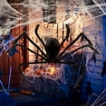 thumbnail image 3 of BESTSKY 2026 New Realistic Hairy Giant Spider, Real Large Fake Spiders for Halloween Outdoor Decoration House Prank Prop, 3 of 6