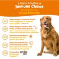 thumbnail image 2 of Zesty Paws Chews Immunité Saveur de Beurre d'Arachide Bouchées Molles Quotidiennes Supplément pour Chiens, 60 Unités, 2 of 8