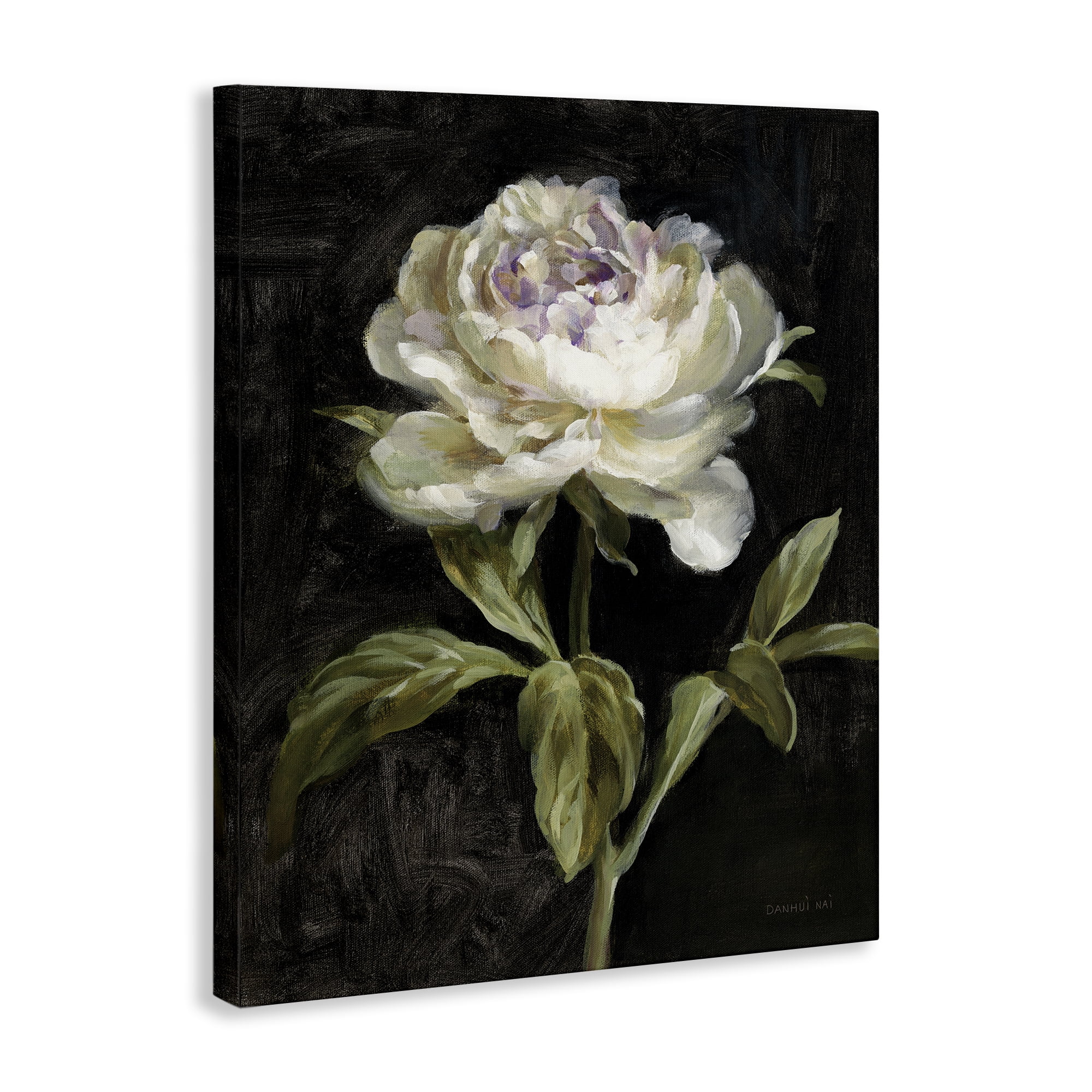 Stupell Industries Peony on Black Plants & Flowers Painting Wrapped Canvas Art Print Wall Art, 16 x 20