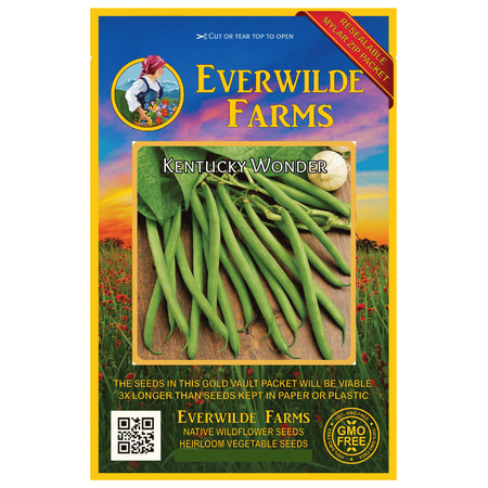 Everwilde Farms - 100 Kentucky Wonder Green Bush Bean Seeds - Gold Vault Jumbo Bulk Seed