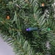Northlight Pré-Éclairé Batterie Alimenté Pin Canadien Couronne de Noël - 36" - Lumières LED Multicolores – image 3 sur 4