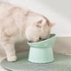 thumbnail image 4 of Raised Cat Food Bowl Elevated Food and Water Bowl Anti-Spill Pet Food Dispenser for Indoor Cat Kittens, 4 of 5