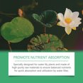 thumbnail image 5 of Water Lily Fertilizer with Balanced Nutrients for Aquatic Plant Growth, Improves Flowering and Health in Garden Ponds or Tanks, 5 of 9