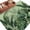 Green, variant on Palm Leaves Tropical Area Rugs 5'x8', Washable Small Throw Rugs for Classroom Bedroom, Green Botanical Summer Linen Indoor Outdoor Rug Non-Slip Low Pile Carpet Runner Reversible Floor Mats