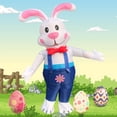 thumbnail image 4 of Disfraz de de conejo de Pascua infble de lujo, trajes de tamaño adulto, Animal hinchable para hombres o mujeres de boda, Macarena Disfraz Inflable, 4 of 8