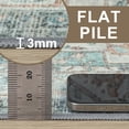 thumbnail image 5 of KUETH 2X5 Area Rugs for Living Room, Non Slip Machine Washable Retro Rugs, Ultra-thin Print Rug for Bedroom, Dining Room, Home Office., 5 of 8