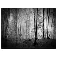 thumbnail image 2 of Beautiful Forest Morning Panorama - Landscape Canvas Art Print, 2 of 3